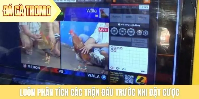 Luôn phân tích các trận đấu trước khi đặt cược