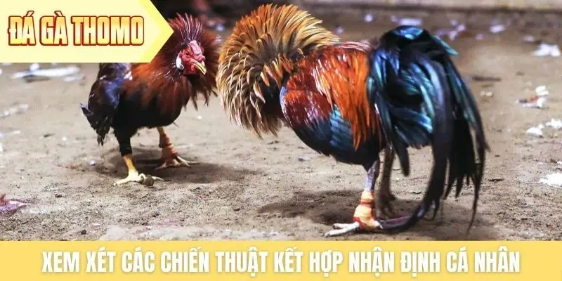 Xem xét các chiến thuật kết hợp nhận định cá nhân