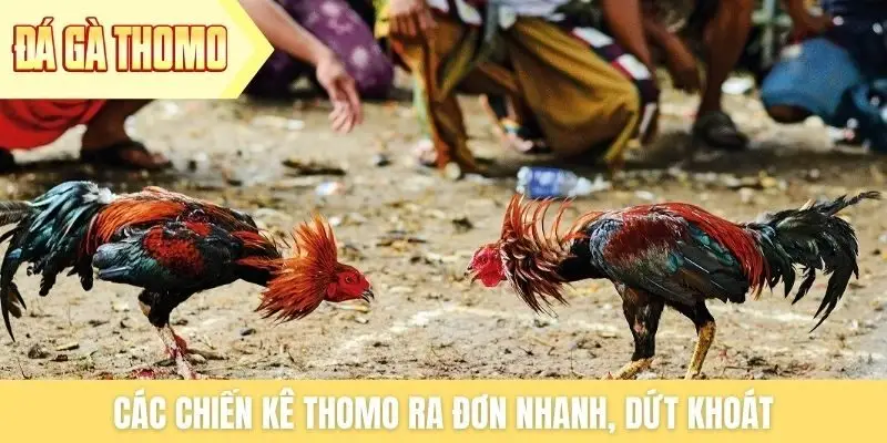 Các chiến kê Thomo ra đơn nhanh, dứt khoát