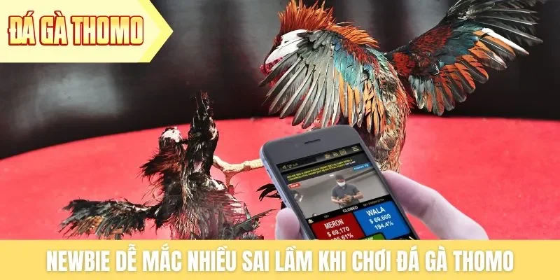 Newbie dễ mắc nhiều sai lầm khi chơi đá gà Thomo