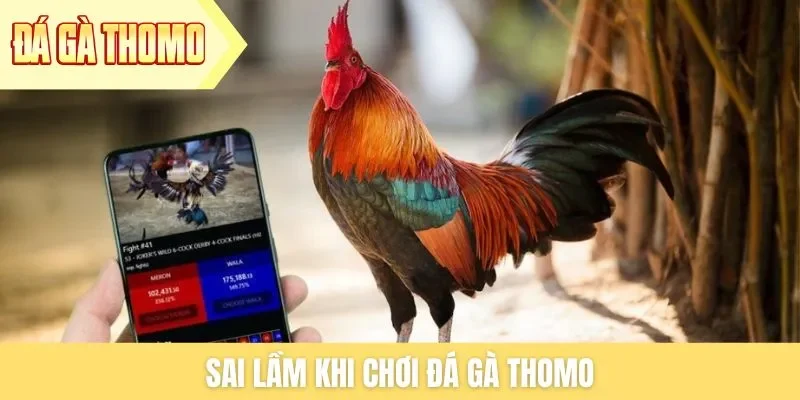 sai-lam-khi-choi-da-ga-thomo