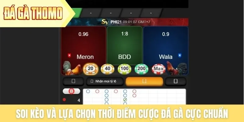 Soi kèo và lựa chọn thời điểm cược đá gà cực chuẩn