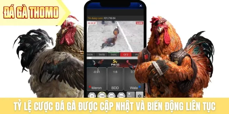 Tỷ lệ cược đá gà được cập nhật và biến động liên tục