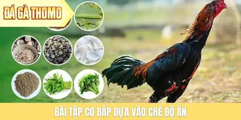 Bài tập cơ bắp dựa vào chế độ ăn