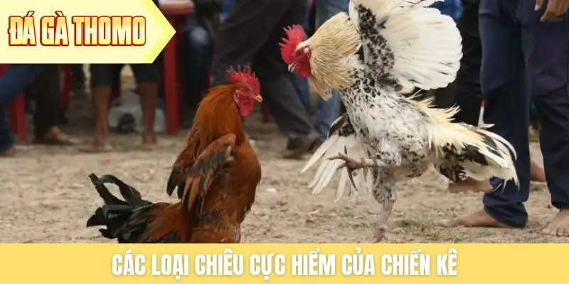 Các loại chiêu cực hiểm của chiến kê