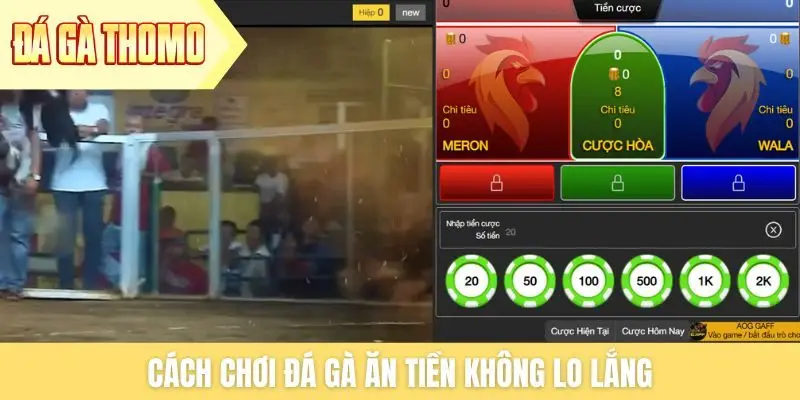 Cách chơi đá gà ăn tiền không lo lắng