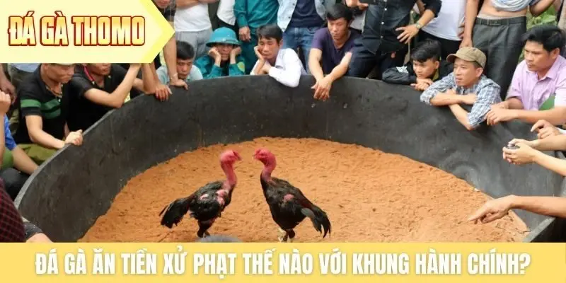 Đá gà ăn tiền xử phạt thế nào với khung hành chính?