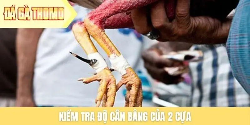 Kiểm tra độ cân bằng của 2 cựa