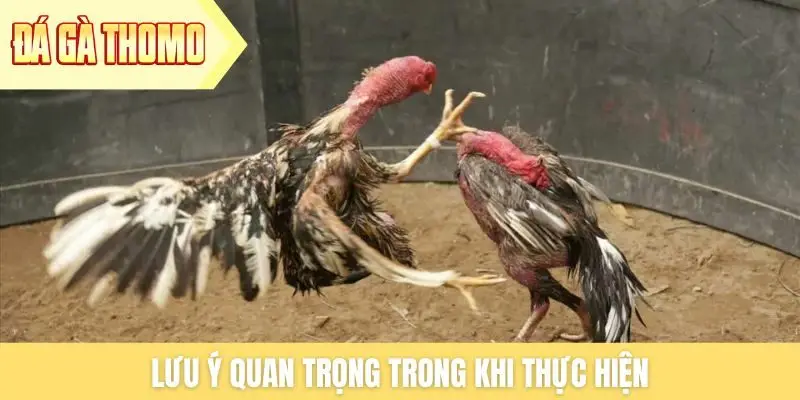 Lưu ý quan trọng trong khi thực hiện