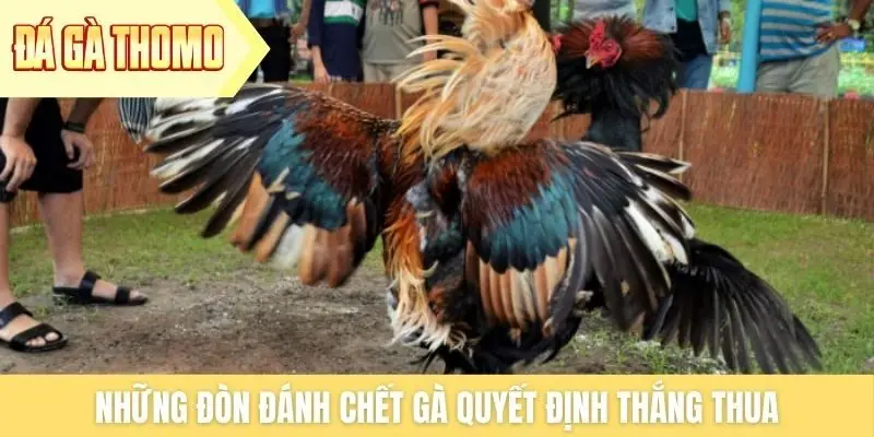 Những đòn đánh chết gà quyết định thắng thua