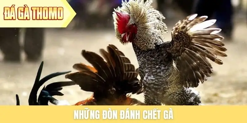 Những đòn đánh chết gà