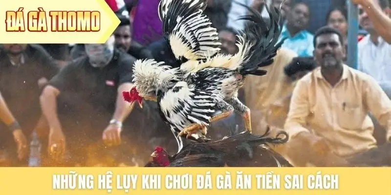 Những hệ lụy khi chơi đá gà ăn tiền sai cách