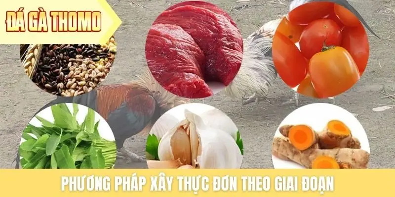 Phương pháp xây thực đơn theo giai đoạn