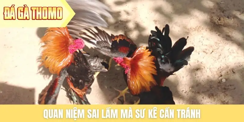 Quan niệm sai lầm mà sư kê cần tránh