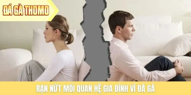 Rạn nứt mối quan hệ gia đình vì đá gà