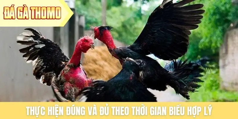 Thực hiện đúng và đủ theo thời gian biểu hợp lý