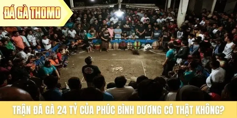 Trận đá gà 24 tỷ của Phúc Bình Dương có thật không?