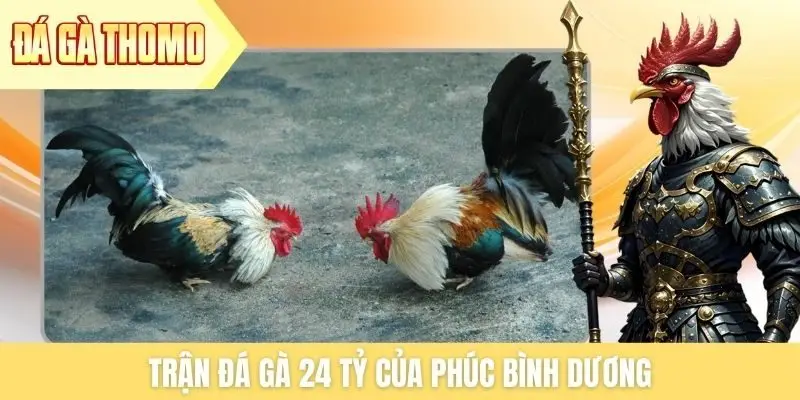 Trận đá gà 24 tỷ của Phúc Bình Dương