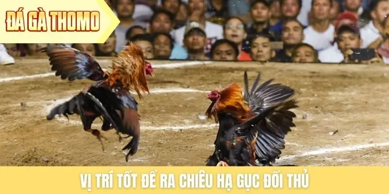 Vị trí tốt để ra chiêu hạ gục đối thủ